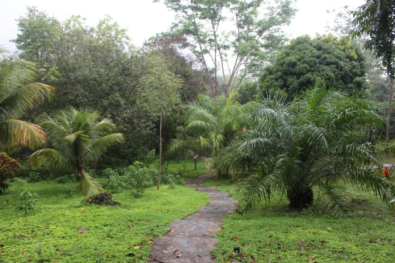 Cordillera Escalera Lodge Tarapoto Luaran gambar