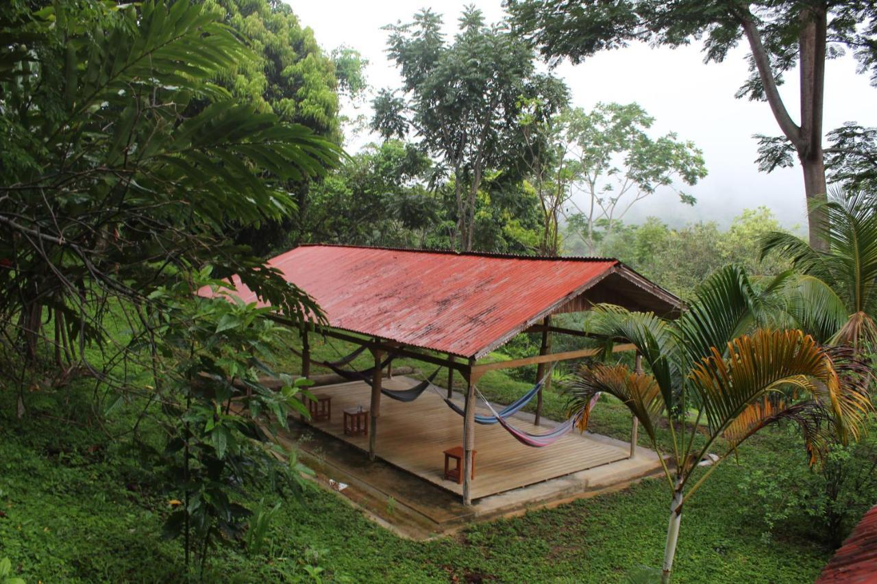 Cordillera Escalera Lodge Tarapoto Luaran gambar