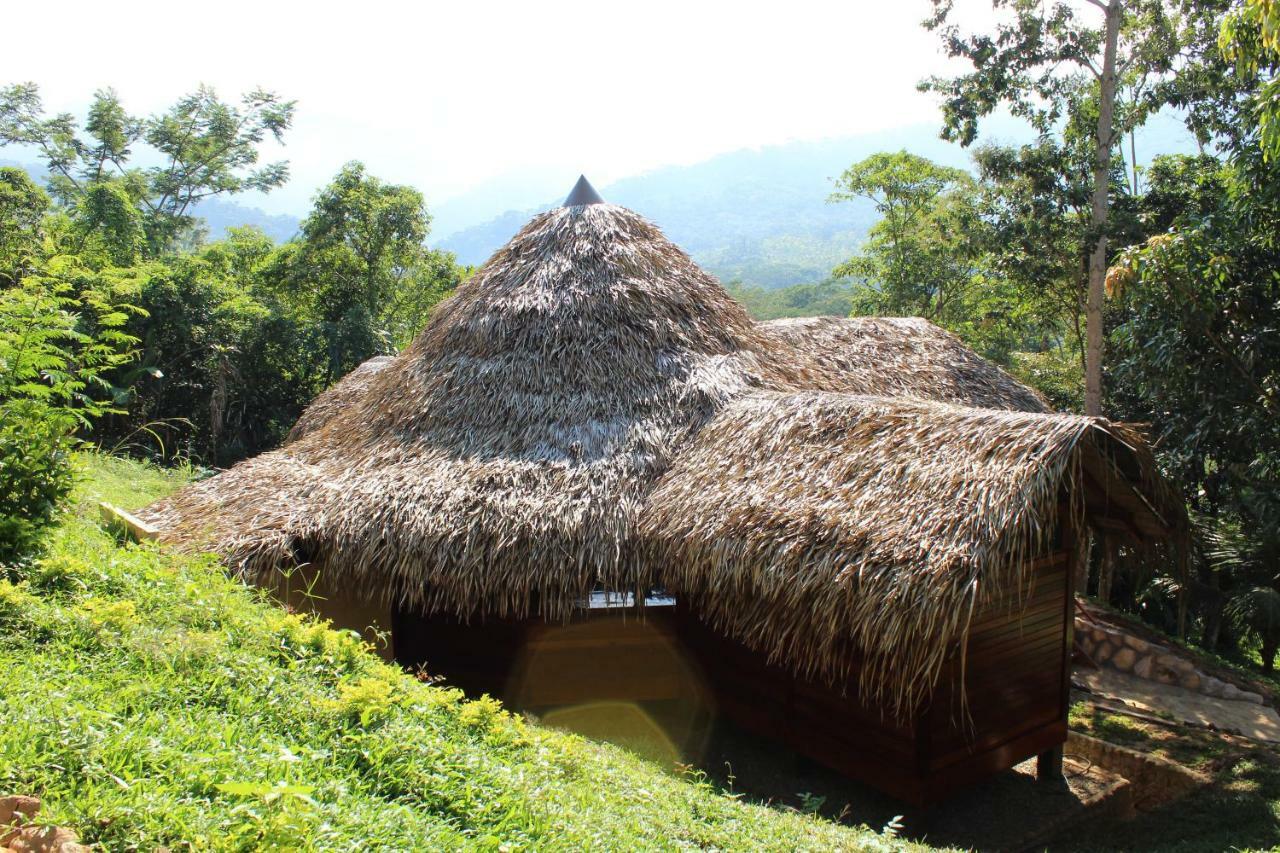 Cordillera Escalera Lodge Tarapoto Luaran gambar